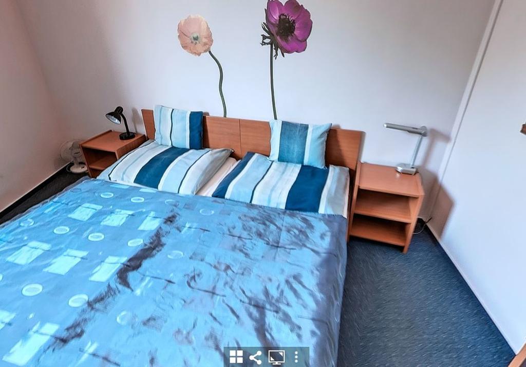 提玛哈兹住宿加早餐旅馆 塞格德 外观 照片